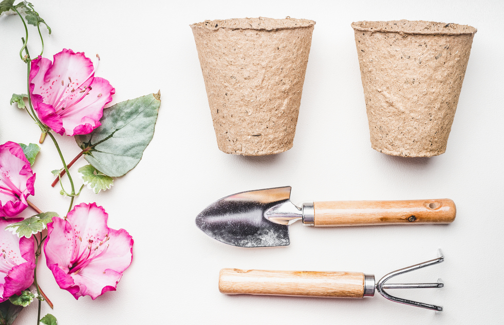 Gardening equipment  flat lay for planting and weeding, with garden tools, flowers plant , pot  on white table background, top view